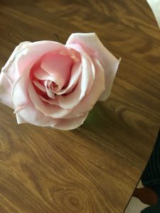 Mother's Day 2018 flower from Outback