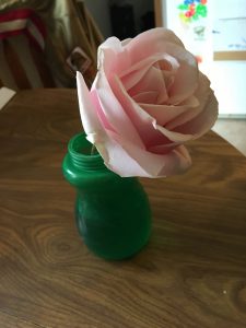 2018 Mother's Day Outback flower