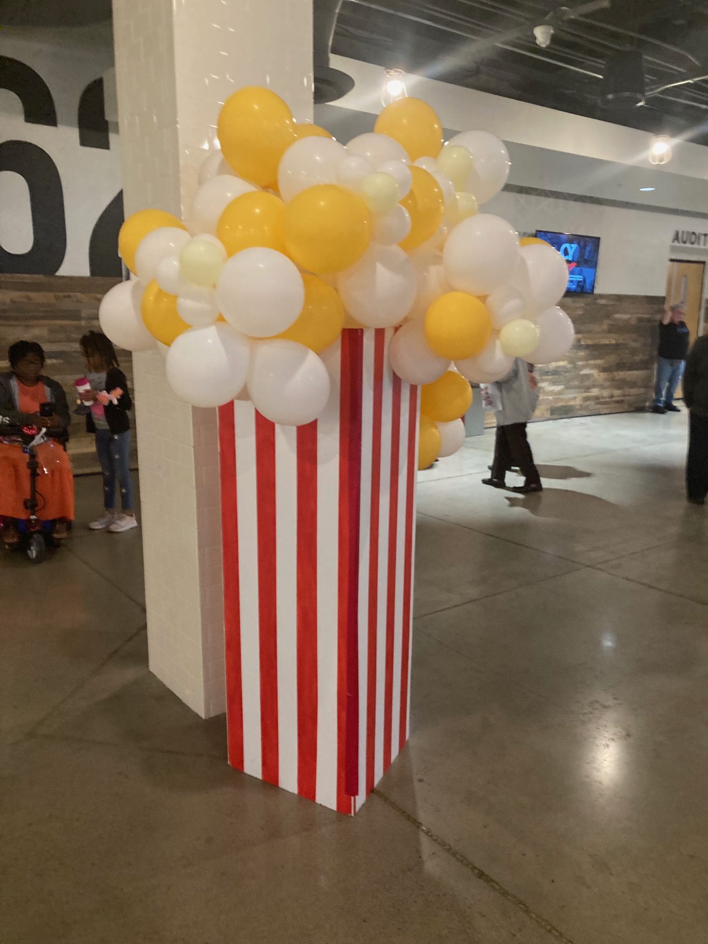 Popcorn balloon - organic