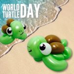 World Turtle Day 2023