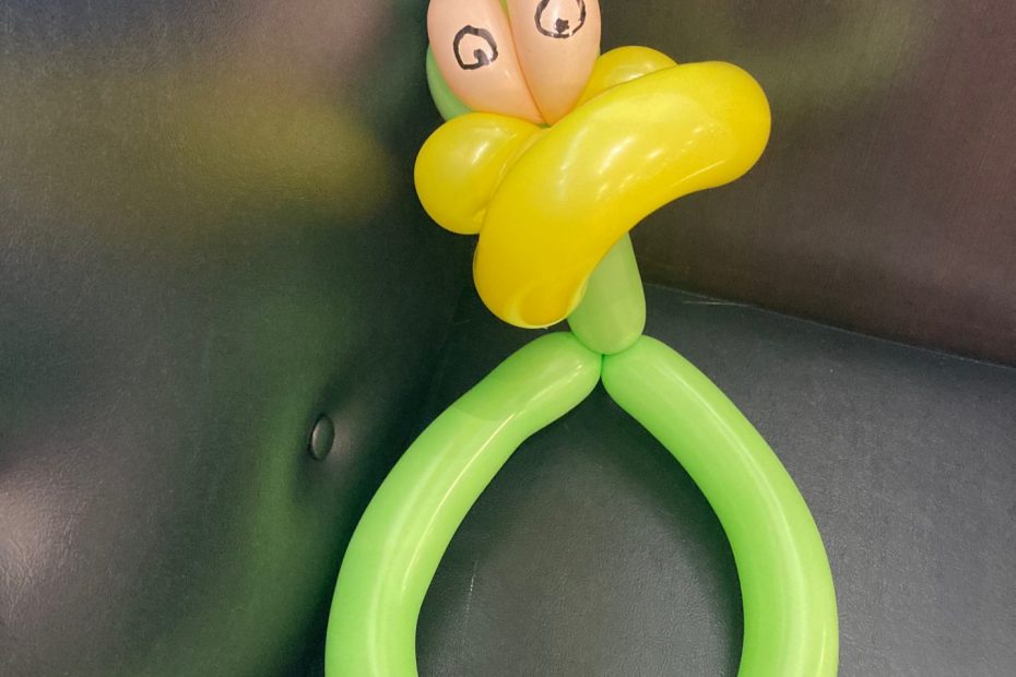 Duck hat from Spring Fest 2026